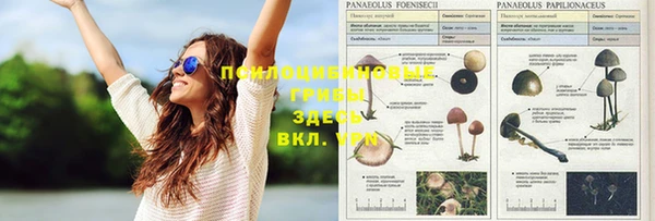 мяу мяу кристалл Нефтегорск