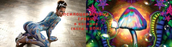mdma Дмитров