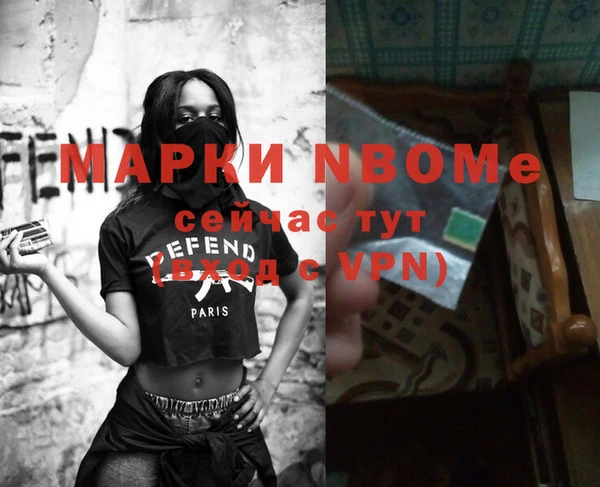 стафф Тында
